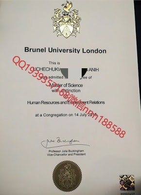 英国布鲁内尔大学(Brunel University) 谷歌