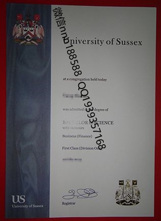 英国萨塞克斯大学（University of Sussex） 谷歌5a_WPS图片.jpg