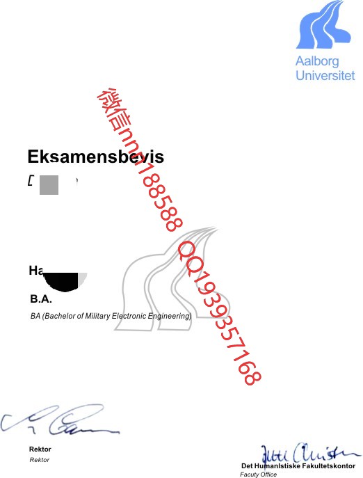 丹麦奥尔堡大学文凭 (2)