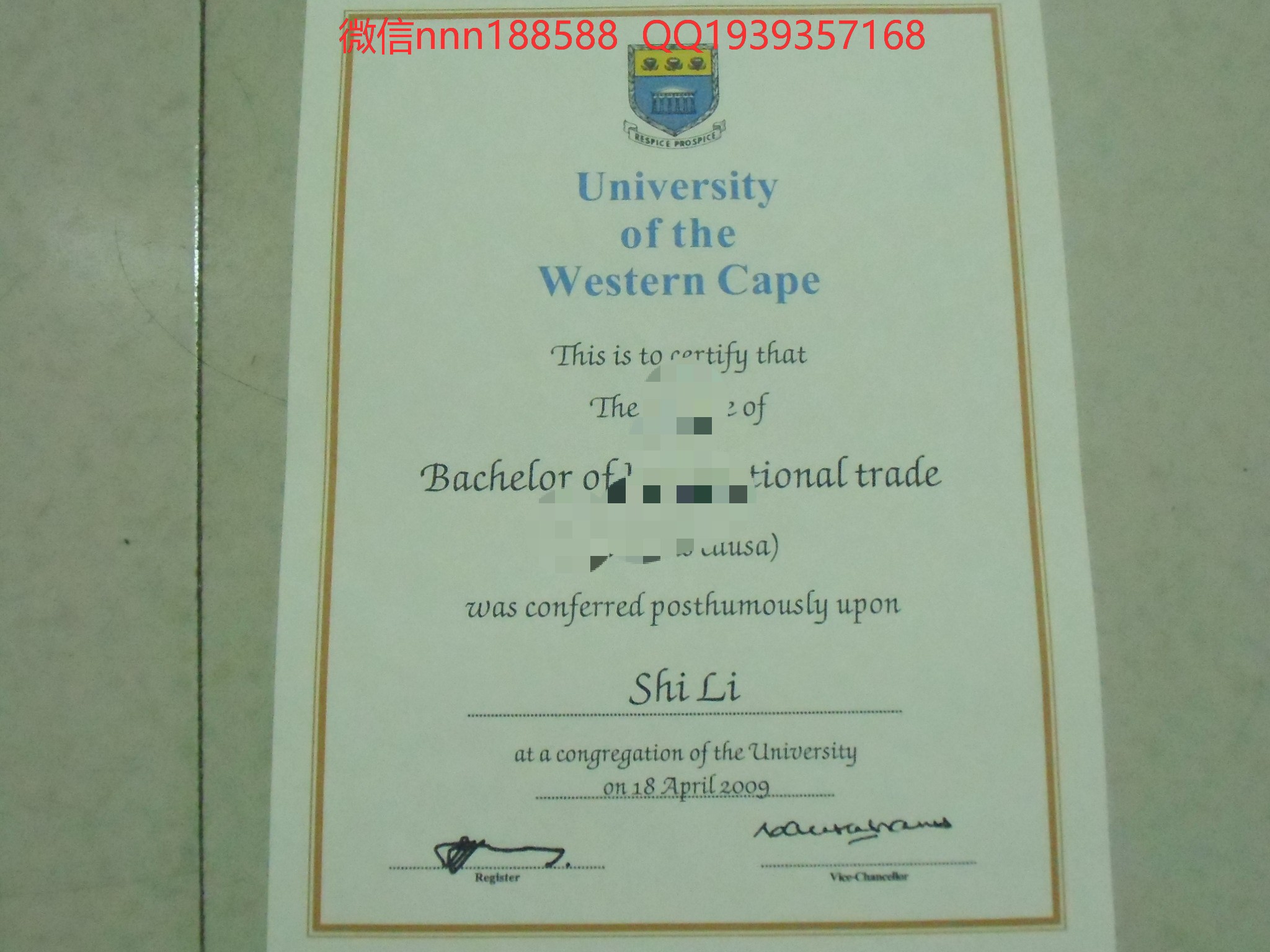 南非西开普大学文凭