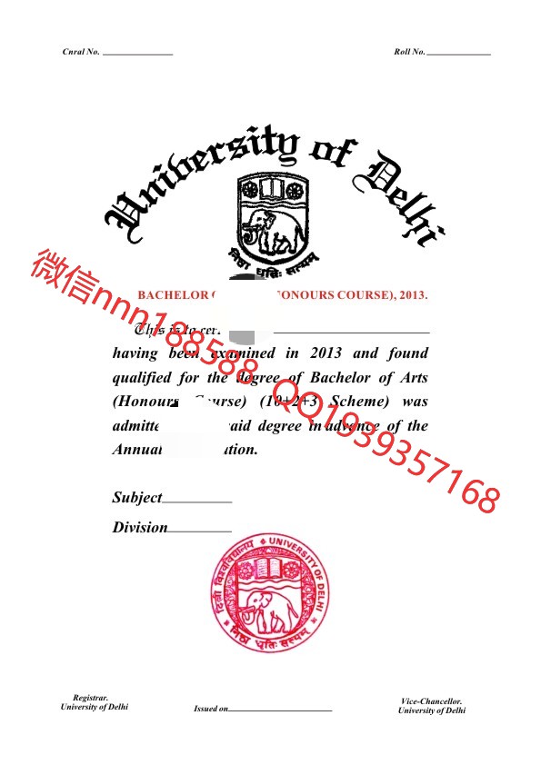 印度德里大学university of delhi文凭