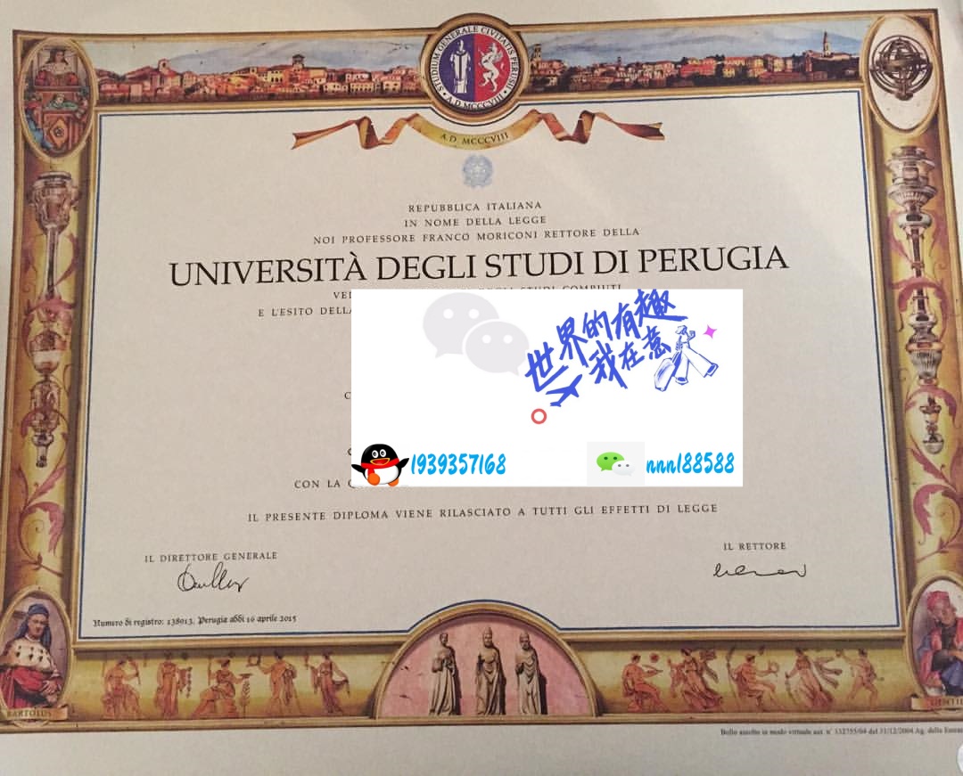 意大利佩鲁贾大学文凭2015-Università degli Studi di Perugia_副本.jpg