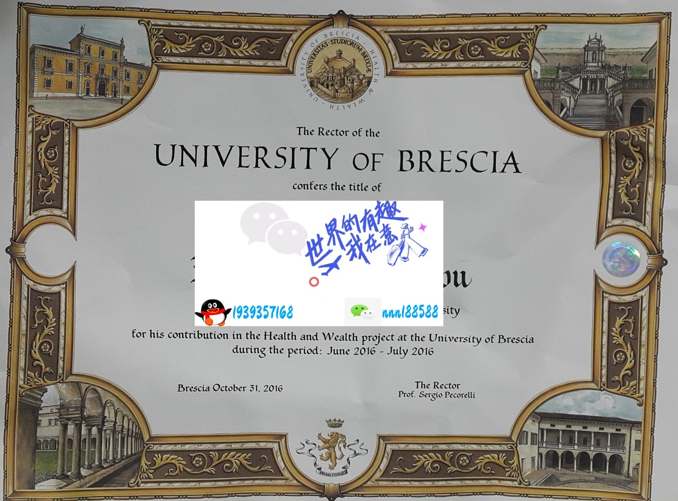 意大利布雷西亚大学 University of brescia_副本wp