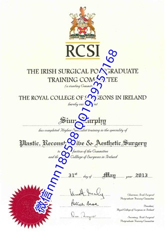 2013年爱尔兰皇家外科医学院Royal College of Surgeons in Ireland 谷歌_副本.jpg