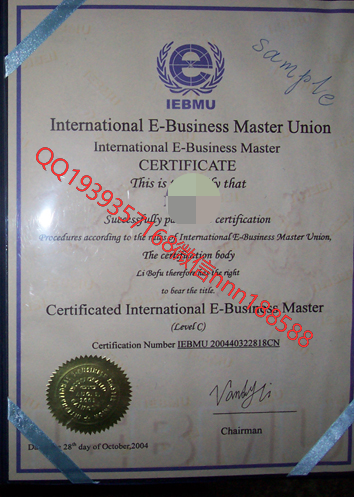 国际电子商务师英文证书_WPS图片.bmp