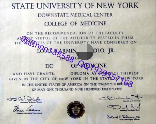 纽约州立大学state university of new york文凭