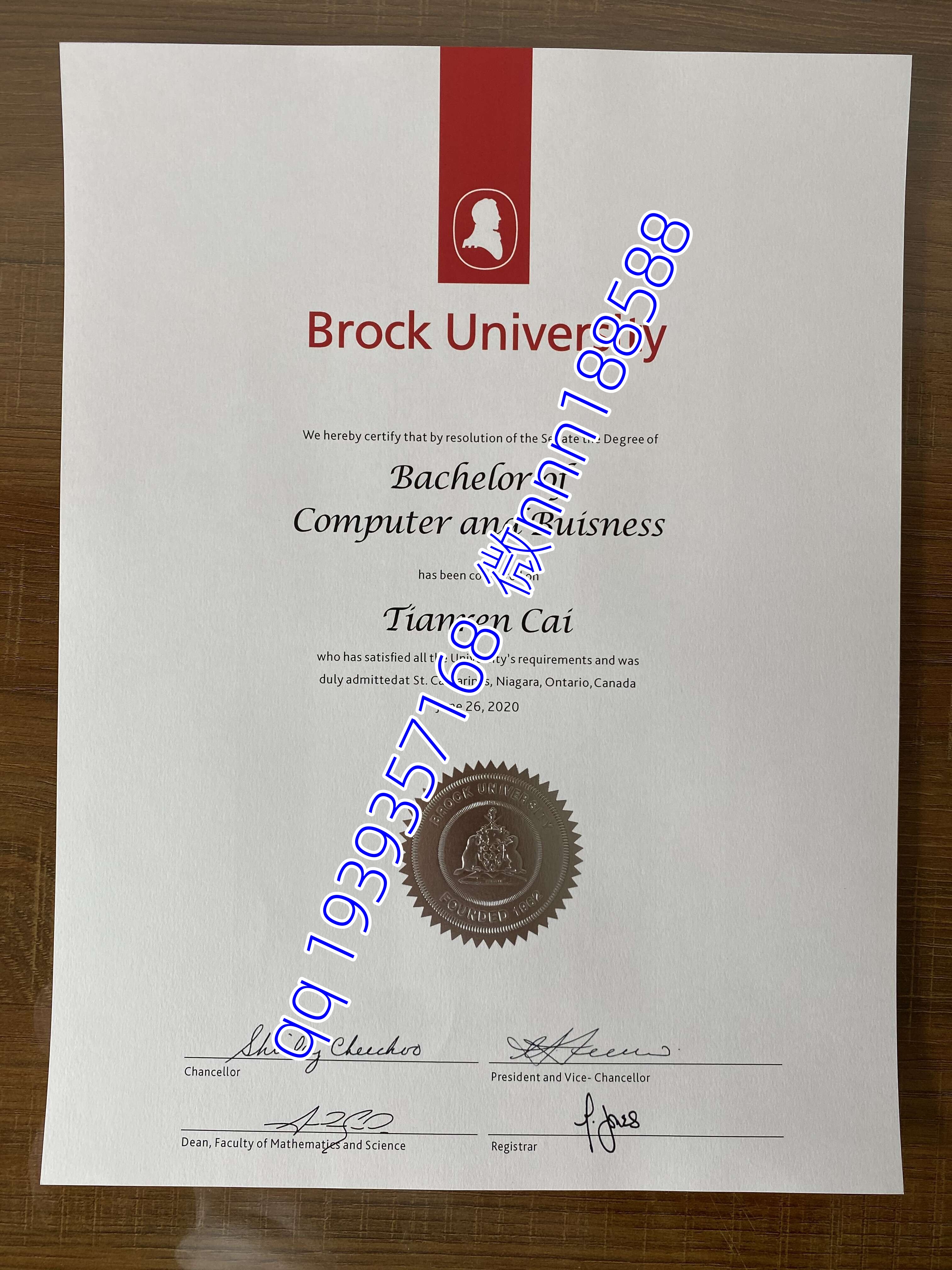 加拿大布鲁克大学毕业证文凭成绩单