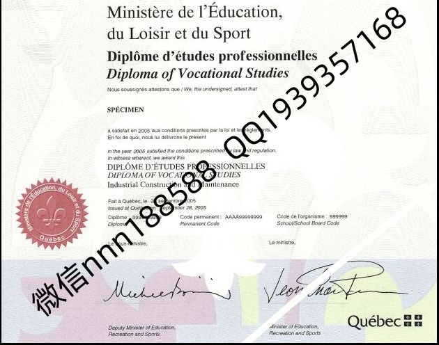 法国职业培训文凭（Diplôme de Formation Professionnelle）